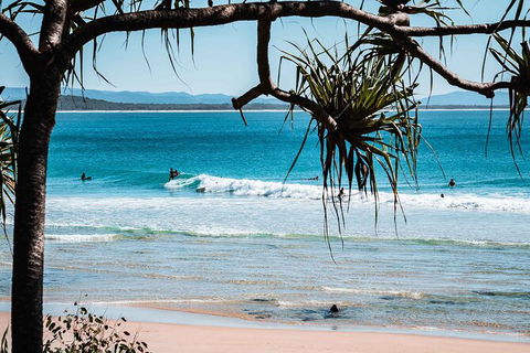 Sunshine Coast Hinterland And Noosa Day Trip From Brisbane Including Eumundi Markets And Ginger Factory - Accommodation Mount Tamborine 8