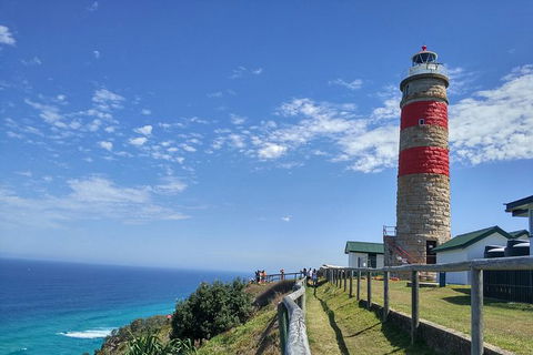 Cape Moreton Scenic 4WD Day Tour From Brisbane Or The Gold Coast - Accommodation Mount Tamborine 1
