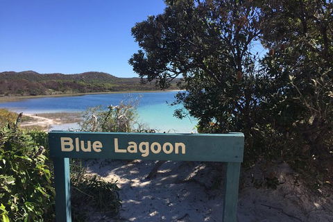 Cape Moreton Scenic 4WD Day Tour From Brisbane Or The Gold Coast - Accommodation Mount Tamborine 4