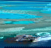 Great Barrier Reef Day Cruise to Reefworld - Accommodation Mount Tamborine
