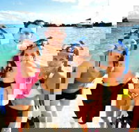 Moreton Island Snorkel and Sandboarding 4WD Day Trip from Brisbane - Accommodation Mount Tamborine