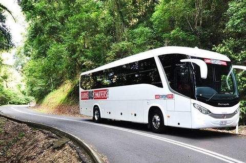 Palm Cove Departure Transfer - Palm Cove To Airport - Accommodation Mount Tamborine 1