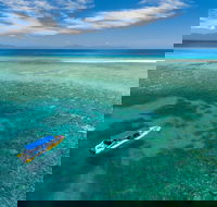 Ocean Safari Great Barrier Reef Experience in Cape Tribulation - Accommodation Mount Tamborine