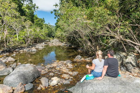 Whitsunday Segway Rainforest Discovery Tour - Accommodation Mount Tamborine 4