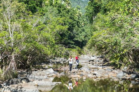 Whitsunday Segway Rainforest Discovery Tour - Accommodation Mount Tamborine 10