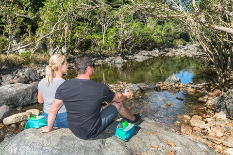 Whitsunday Segway Rainforest Discovery Tour - Accommodation Mount Tamborine 6