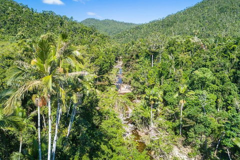 Whitsunday Segway Rainforest Discovery Tour - Accommodation Mount Tamborine 5