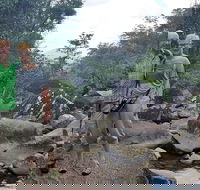 Personalised Private Platypus Land Tour - Accommodation Mount Tamborine