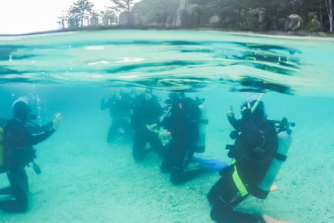 3 Day Whitsundays Sailing And Diving Adventure: Kiana - Accommodation Mount Tamborine 12