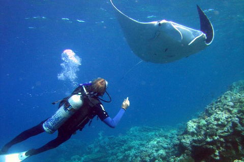 3 Day Whitsundays Sailing And Diving Adventure: Kiana - Accommodation Mount Tamborine 9
