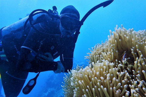 3 Day Whitsundays Sailing And Diving Adventure: Kiana - Accommodation Mount Tamborine 3