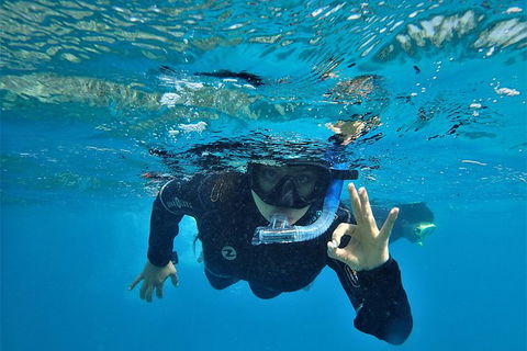3 Day Whitsundays Sailing And Diving Adventure: Kiana - Accommodation Mount Tamborine 11