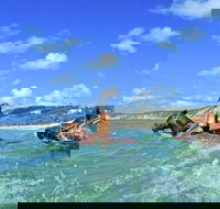Horse Swimming Ride from Rainbow Beach - Accommodation Mount Tamborine