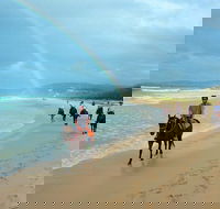 Rainbow Beach Horse Ride - Accommodation Mount Tamborine