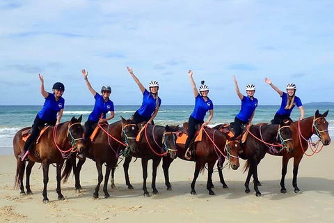 Rainbow Beach Horse Ride - Accommodation Mount Tamborine 4