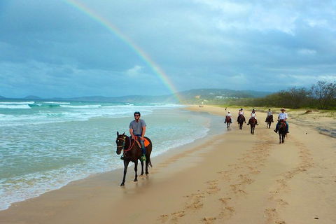 Rainbow Beach Horse Ride - Accommodation Mount Tamborine 1