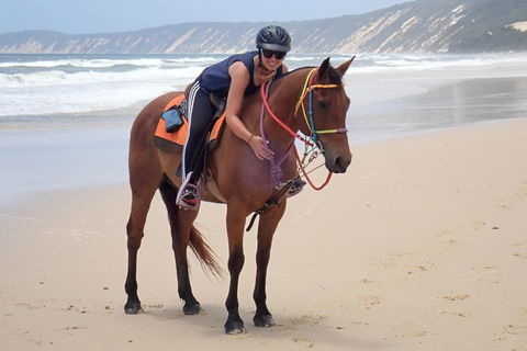 Rainbow Beach Horse Ride - Accommodation Mount Tamborine 2