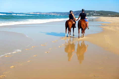 Rainbow Beach Horse Ride - Accommodation Mount Tamborine 3