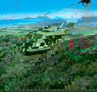 Small-Group Kuranda Village Skyrail Cableway and Scenic Railway Day Trip from Port Douglas - Accommodation Mount Tamborine
