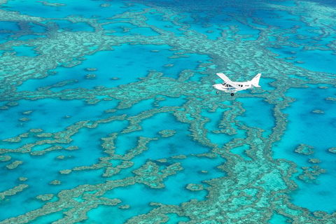 Scenic Flight - Great Barrier Reef, Heart Reef, Whitehaven Beach & Hill Inlet! - Accommodation Mount Tamborine 8