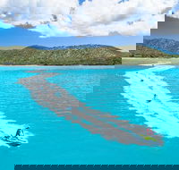 Whitsundays Jet Ski Tour - Accommodation Mount Tamborine