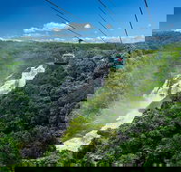Skyrail Rainforest Cableway Day Trip from Port Douglas - Accommodation Mount Tamborine
