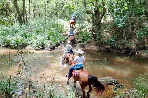 Country Day Ride From Mt Goomboorian With Rainbow Beach Horse Rides - Accommodation Mount Tamborine 1