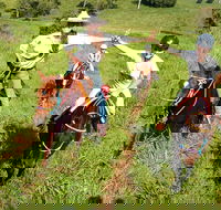 Country Day Ride from Mt Goomboorian with Rainbow Beach Horse Rides - Accommodation Mount Tamborine