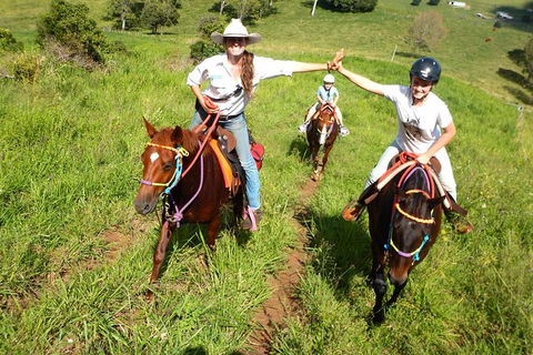 Country Day Ride From Mt Goomboorian With Rainbow Beach Horse Rides - Accommodation Mount Tamborine 0