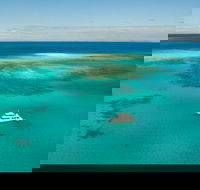 Great Barrier Reef Dive and Snorkel Cruise from Mission Beach - Accommodation Mount Tamborine