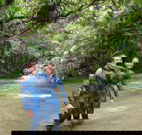 Mossman River Drift Snorkelling from Port Douglas or Mossman - Accommodation Mount Tamborine