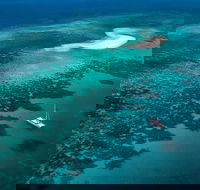 Outer Barrier Reef Sailing and Snorkeling Adventure from Port Douglas - Accommodation Mount Tamborine