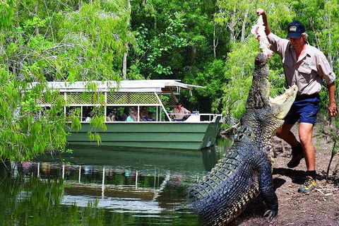 Crocs, Creatures And Culture Ex Northern Beaches - Accommodation Mount Tamborine 1