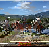 Blazing Saddles Horse Riding - Accommodation Mount Tamborine