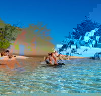 Half Day Low Isles Snorkelling Tour from Port Douglas - Accommodation Mount Tamborine