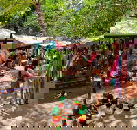 Kuranda Day Trip small group from Port Douglas by bus - Accommodation Mount Tamborine