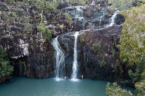 Whitsundays Tropical Rainforest, Waterfalls And Airlie Beach Eco Experience - Accommodation Mount Tamborine 0