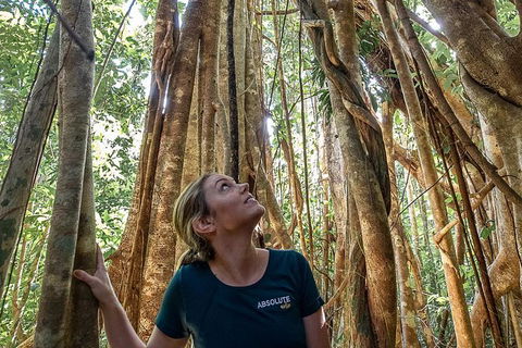 Whitsundays Tropical Rainforest, Waterfalls And Airlie Beach Eco Experience - Accommodation Mount Tamborine 14