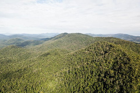 Whitsundays Tropical Rainforest, Waterfalls And Airlie Beach Eco Experience - Accommodation Mount Tamborine 4