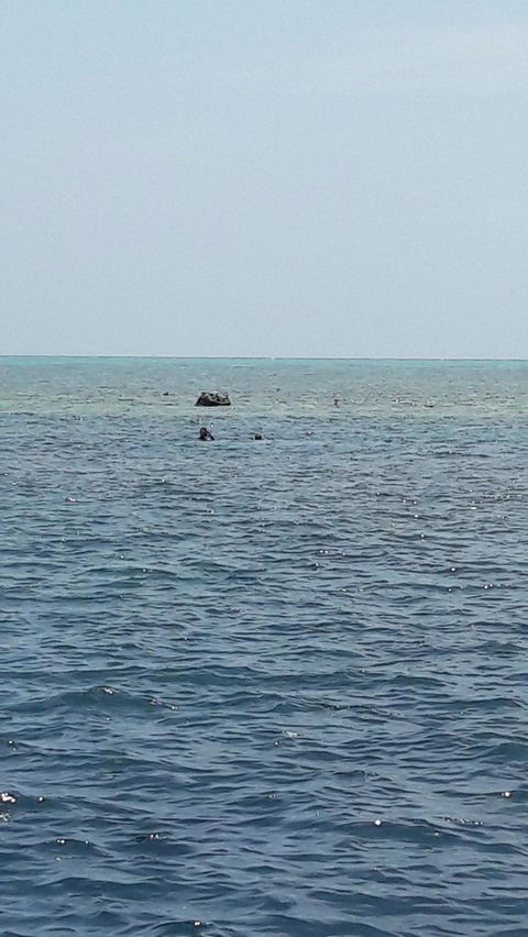 Great Barrier Reef Cruise From Townsville Or Magnetic Island - Accommodation Mount Tamborine 2