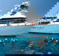 Great Barrier Reef Cruise from Townsville or Magnetic Island - Accommodation Mount Tamborine