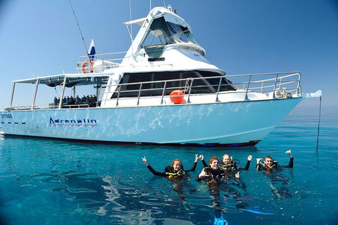 Great Barrier Reef Cruise From Townsville Or Magnetic Island - Accommodation Mount Tamborine 0