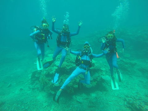 Great Barrier Reef Cruise From Townsville Or Magnetic Island - Accommodation Mount Tamborine 5