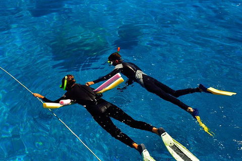 Great Barrier Reef Cruise From Townsville Or Magnetic Island - Accommodation Mount Tamborine 1