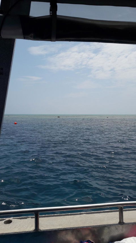Great Barrier Reef Cruise From Townsville Or Magnetic Island - Accommodation Mount Tamborine 3