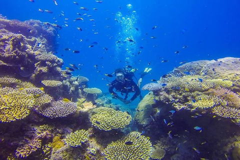 Great Barrier Reef Cruise From Townsville Or Magnetic Island - Accommodation Mount Tamborine 12