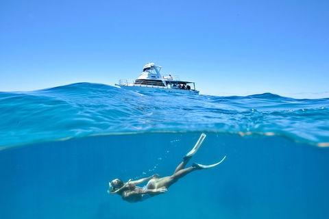 Great Barrier Reef Cruise From Townsville Or Magnetic Island - Accommodation Mount Tamborine 10