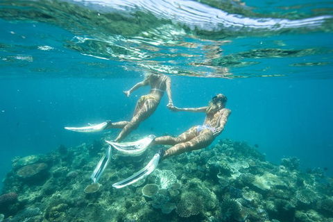 Great Barrier Reef Cruise From Townsville Or Magnetic Island - Accommodation Mount Tamborine 8