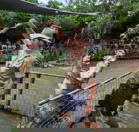 Hartley's Crocodile Adventures Day Trip from Cairns - Accommodation Mount Tamborine