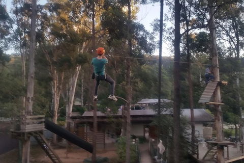Tamborine Mountain Daily Service, Treetop Challenge And Thunderbird Park - Accommodation Mount Tamborine 1
